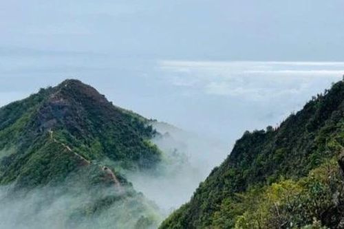 Săn mây Tà Xùa, trekking khu rừng phủ rêu ma mị như trong phim