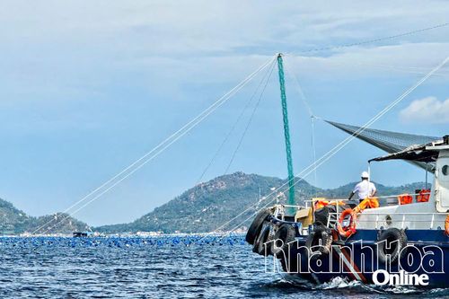 Nỗ lực xử lý lồng bè lấn chiếm luồng hàng hải