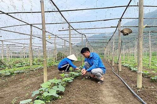 Bí thư chi đoàn bản năng động