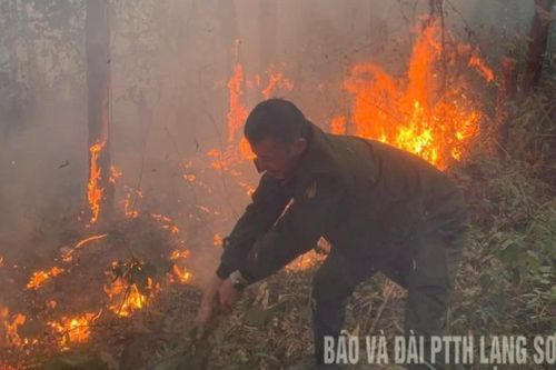 Lạng Sơn: Liên tiếp xảy ra các vụ cháy rừng, trảng cỏ