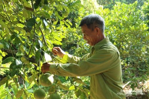 Cựu chiến binh Lạng Sơn: Anh dũng thời chiến, cống hiến thời bình