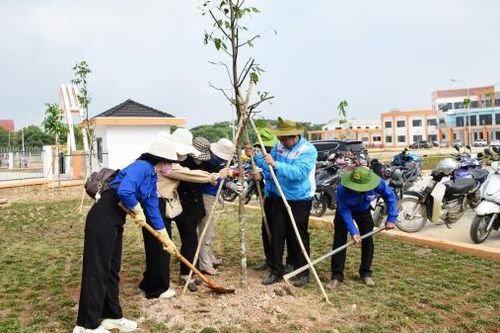 Đức Trọng nỗ lực bảo vệ và phát triển 'lá phổi xanh'