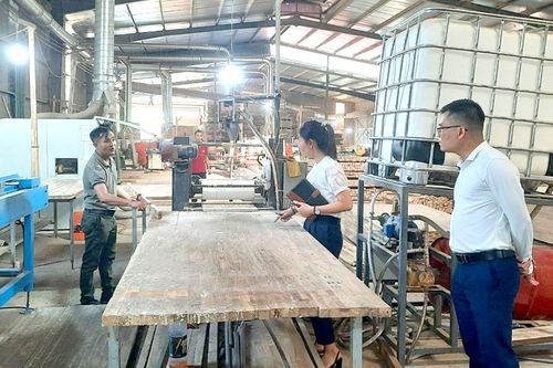 Phát huy hiệu quả ứng dụng, phát triển khoa học công nghệ, chuyển đổi số