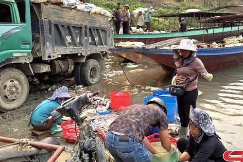 Khắc phục ô nhiễm môi trường tại bến thuyền Pá Uôn