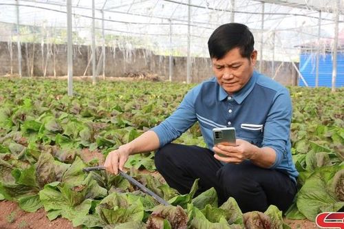 Mộc Châu vùng nông nghiệp ứng dụng công nghệ cao