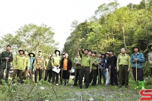 Vai trò của cộng đồng trong bảo vệ 'lá phổi xanh'