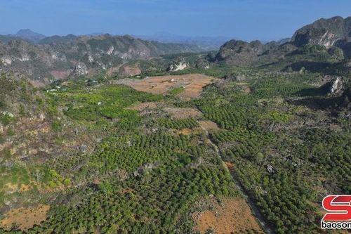 Chấp thuận nhà đầu tư Dự án Công viên nghĩa trang thành phố Sơn La