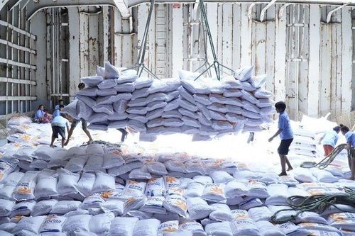 Philippines: Nhu cầu nhập khẩu gạo tiếp tục cao hàng đầu thế giới, gạo Việt Nam duy trì lợi thế nổi trội