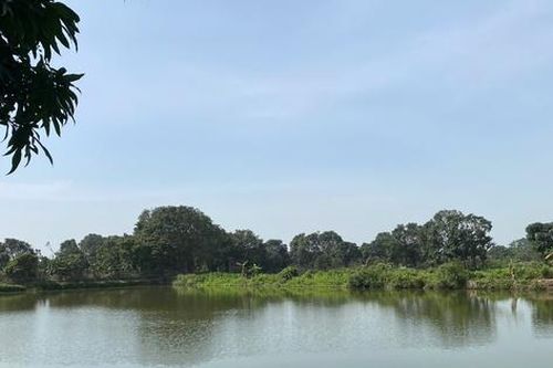 Hải Dương: Nhóm học sinh bơi thuyền trên ao cá, một em đuối nước tử vong thương tâm