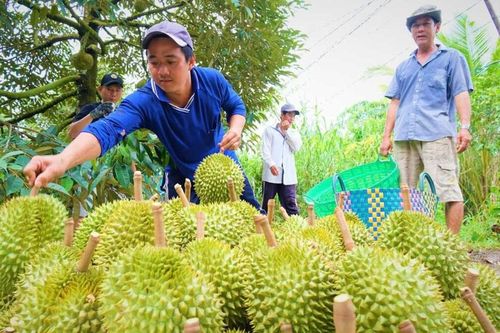 Dòng vốn 100.000 tỷ sắp chảy vào nông, lâm, thủy sản