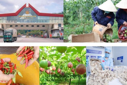 Cánh cửa lớn mở ra cho nông sản Việt