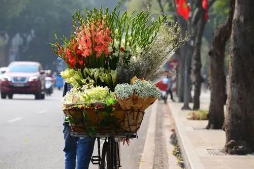Thời tiết 16/4: Hà Nội mát mẻ trước đợt cao điểm nắng