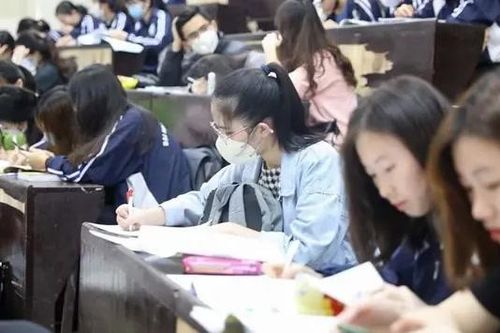 Sinh viên đại học được đào tạo thành cán bộ cấp xã