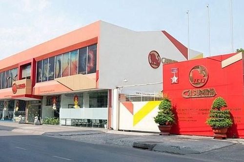Cao su Miền Nam (CSM) trình cổ đông kế hoạch lãi 2025 tăng 6%, chia cổ tức 3% và thay đổi nhân sự cấp cao