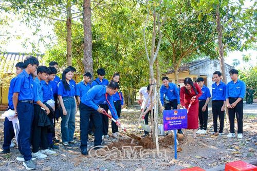Tuổi trẻ Cà Mau đoàn kết, xung kích tình nguyện, lao động sáng tạo