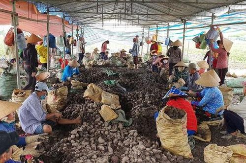 Đảm bảo sinh kế, giúp người dân giảm nghèo bền vững