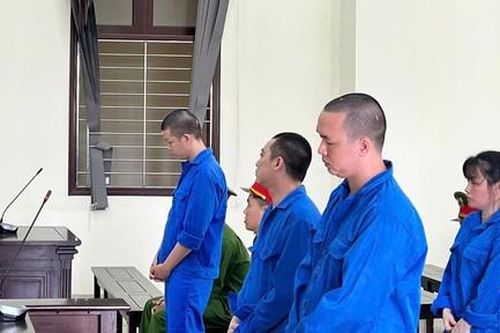Tử hình 1 bị cáo tham gia vận chuyển trái phép hơn 12kg ma túy