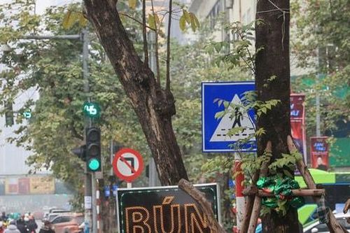 Xử lý dứt điểm bất cập hệ thống đèn, biển báo hiệu đường bộ trong tháng 4