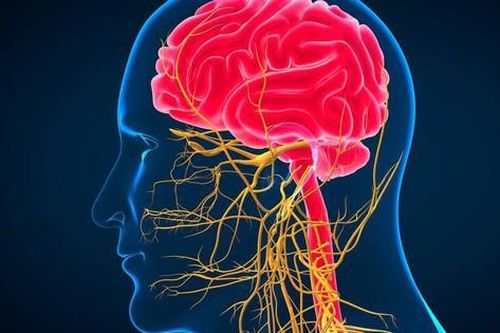 Câu hỏi thường gặp liên quan đến bệnh động kinh