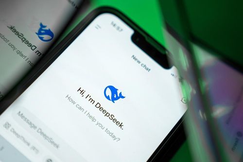 6 con hổ AI Trung Quốc 'hóa mèo'