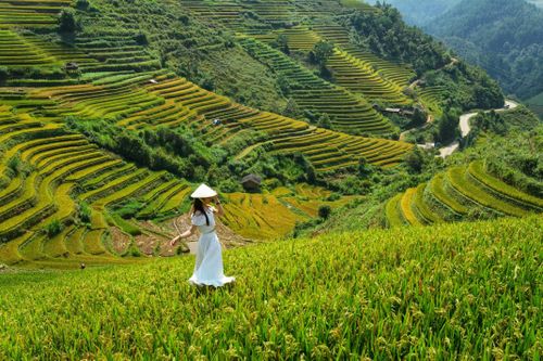 'Vùng vàng' du lịch Tây Bắc khi Lào Cai và Yên Bái sáp nhập