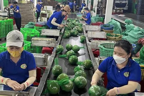 Nông nghiệp nỗ lực tăng trưởng trong khó khăn