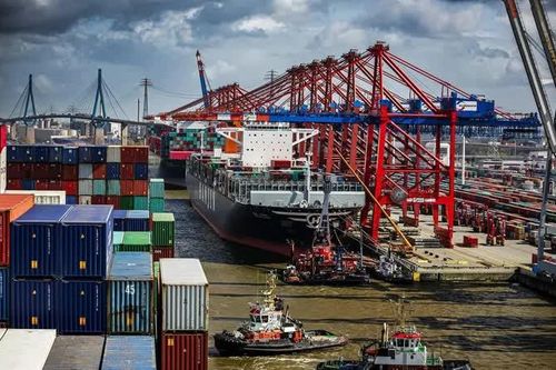 WTO dự báo thương mại toàn cầu giảm tốc, cảnh báo rủi ro lan rộng