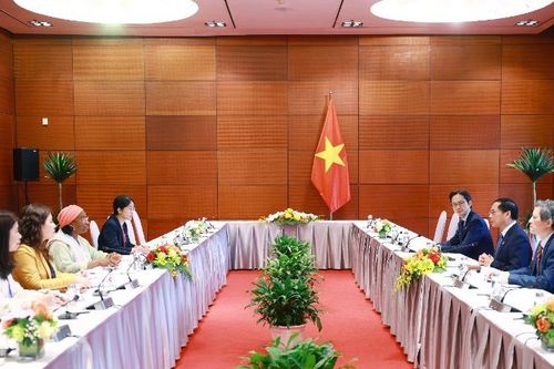 UNIDO sẵn sàng hỗ trợ các ưu tiên và chiến lược phát triển của Việt Nam