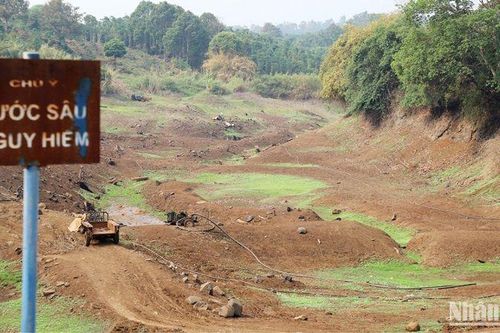 Hơn 3.300ha cà-phê ở Đắk Nông bị hạn hán
