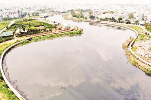 Nỗ lực làm xanh những dòng kênh