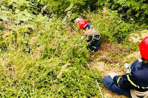Điều tra nguyên nhân một du khách nước ngoài tử vong tại bán đảo Sơn Trà, Đà Nẵng