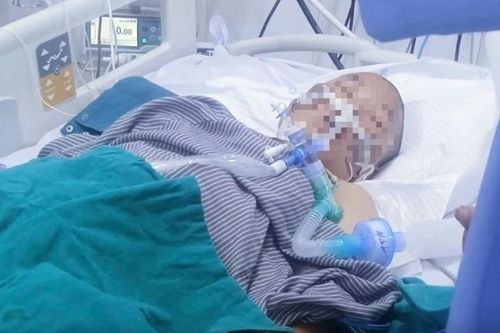 Lai Châu: Vợ tử vong, chồng nguy kịch do ăn phải nấm lạ