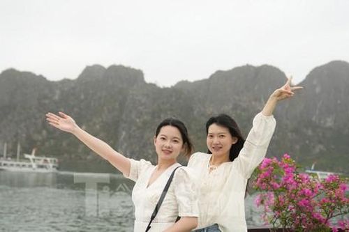 Khoảnh khắc đáng nhớ của thanh niên Trung Quốc trước di sản thế giới Vịnh Hạ Long