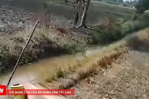 Người đàn ông tử vong do đạp phải đường dây điện cài bẫy chuột