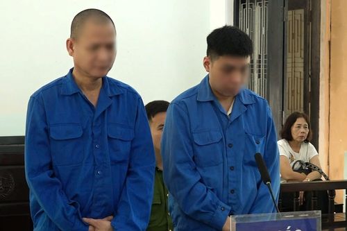 Hai tài xế chở khách nhập cảnh trái phép lĩnh án