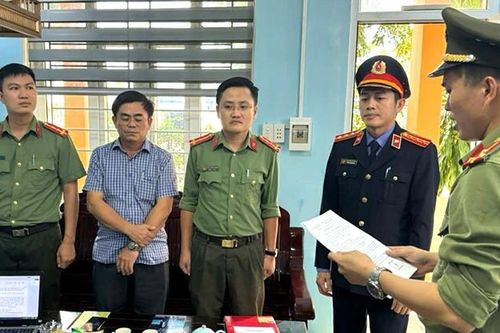 Kỷ luật nhiều cán bộ liên quan sai phạm trong các dự án cây xanh ở Quảng Bình