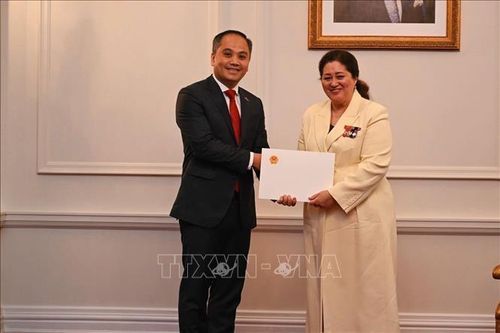 Phối hợp triển khai hiệu quả quan hệ Đối tác Chiến lược Toàn diện Việt Nam - New Zealand