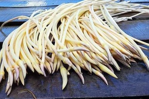2 loại rau người Việt thích mê dễ là 'ổ sán', bắt mắt nhất là cái số 1