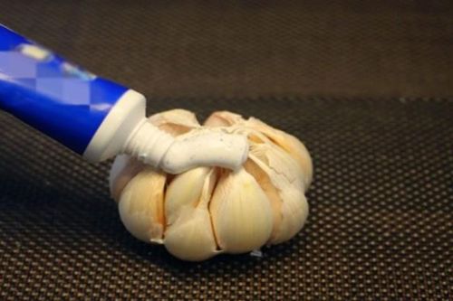 Đặt tỏi bôi kem đánh răng trong phòng tắm – mẹo nhỏ đơn giản mà mang lại hiệu quả bất ngờ