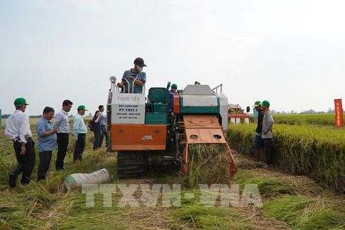 Hội nghị P4G Việt Nam 2025: Công nghệ giúp đẩy nhanh quá trình tăng trưởng xanh
