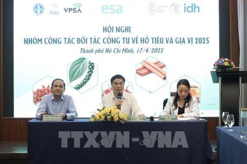 Ngành hồ tiêu tìm phương án ứng phó thách thức kép