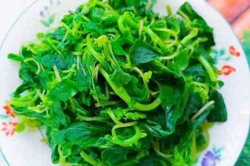 Gặp 5 loại rau này, yên tâm mua vì không thuốc trừ sâu, giá rẻ mà cực bổ