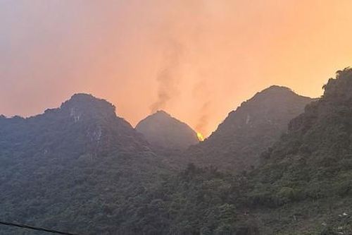 Đã khống chế hoàn toàn cháy rừng ở Hà Nam