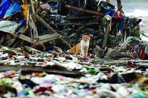 Các 'ông lớn' thế giới quản lý rác thải ra sao?