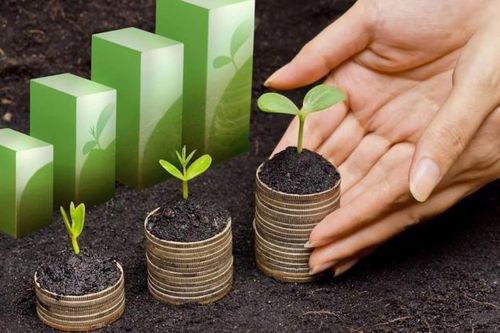 Tài trợ 4,7 triệu USD tài chính khí hậu cho 17 quan hệ đối tác khởi nghiệp sáng tạo