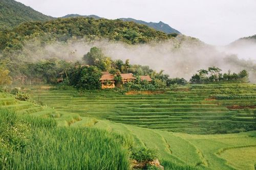 Đa dạng sinh học – 'vàng ròng' của Thanh Hóa trên bản đồ du lịch Việt