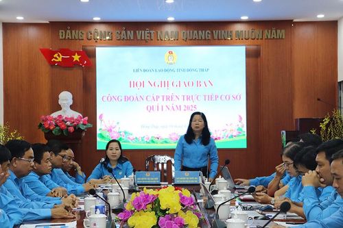 Công đoàn Đồng Tháp nhiều hoạt động sáng tạo, thiết thực chăm lo cho đoàn viên, người lao động