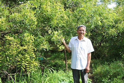 Giữ vững phẩm chất bộ đội Cụ Hồ trên mặt trận kinh tế