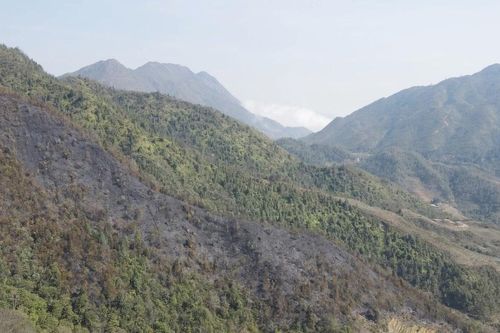 Tăng cường bảo vệ, phòng cháy, chữa cháy rừng trên địa bàn tỉnh