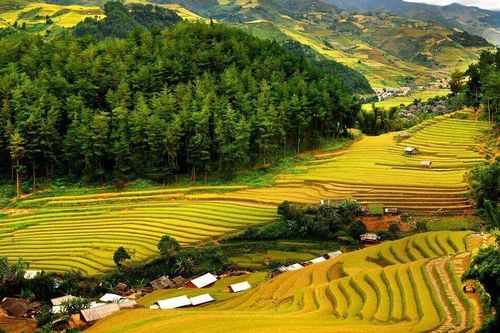 Tìm hiểu, khám phá du lịch Thanh Hóa qua các nền tảng số